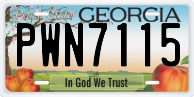 GA license plate PWN7115