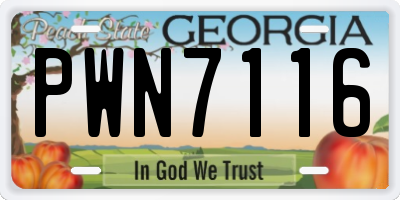 GA license plate PWN7116