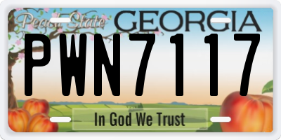 GA license plate PWN7117