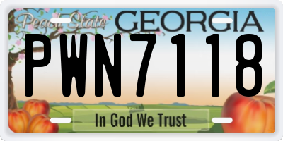 GA license plate PWN7118