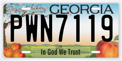 GA license plate PWN7119