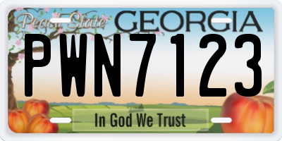 GA license plate PWN7123