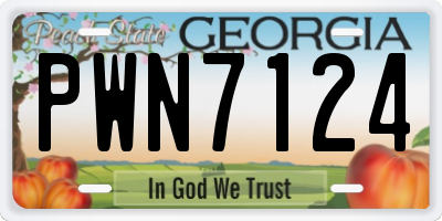 GA license plate PWN7124