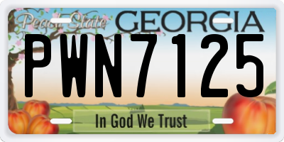GA license plate PWN7125
