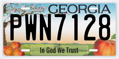 GA license plate PWN7128