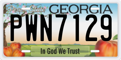GA license plate PWN7129