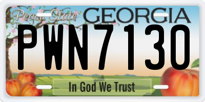 GA license plate PWN7130