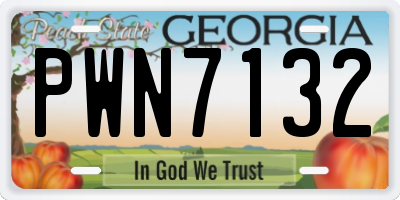 GA license plate PWN7132