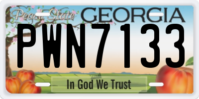 GA license plate PWN7133