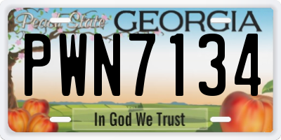 GA license plate PWN7134