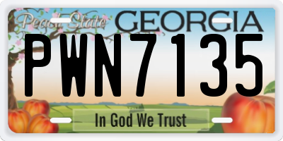 GA license plate PWN7135