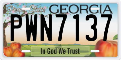 GA license plate PWN7137