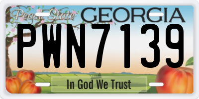 GA license plate PWN7139