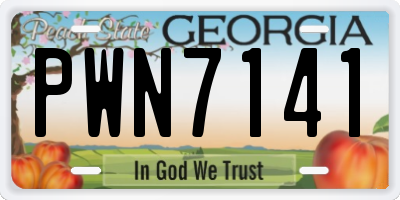 GA license plate PWN7141
