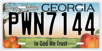 GA license plate PWN7144