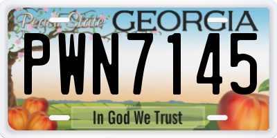 GA license plate PWN7145