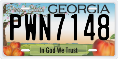 GA license plate PWN7148