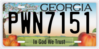 GA license plate PWN7151