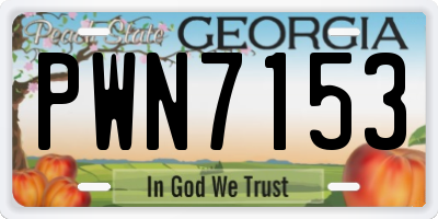 GA license plate PWN7153