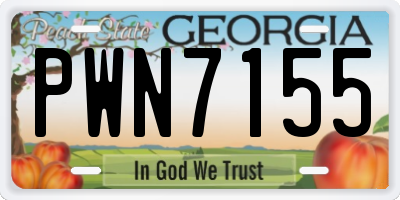 GA license plate PWN7155