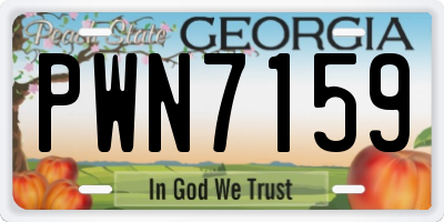 GA license plate PWN7159