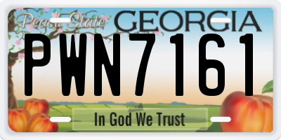 GA license plate PWN7161