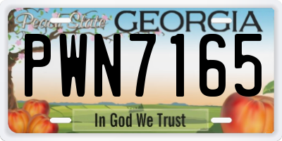 GA license plate PWN7165