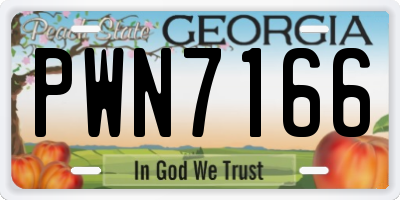 GA license plate PWN7166