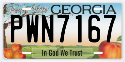 GA license plate PWN7167