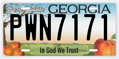 GA license plate PWN7171