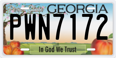 GA license plate PWN7172