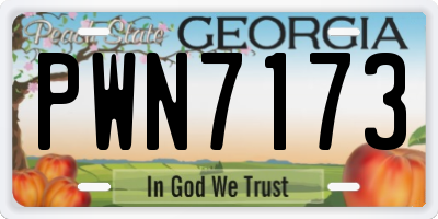 GA license plate PWN7173