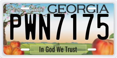 GA license plate PWN7175