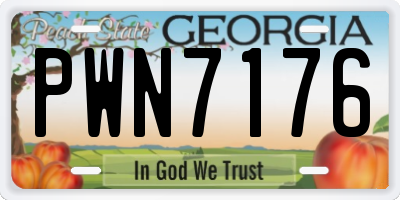 GA license plate PWN7176