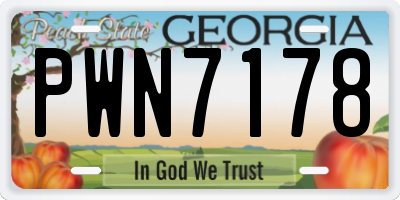 GA license plate PWN7178