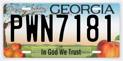 GA license plate PWN7181