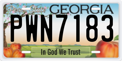 GA license plate PWN7183