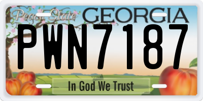 GA license plate PWN7187