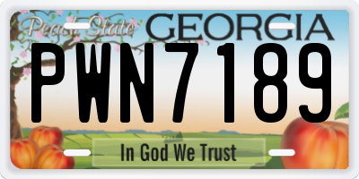 GA license plate PWN7189