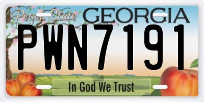 GA license plate PWN7191