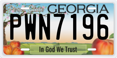 GA license plate PWN7196