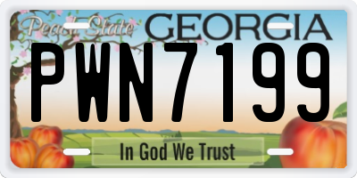 GA license plate PWN7199