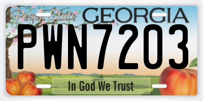 GA license plate PWN7203