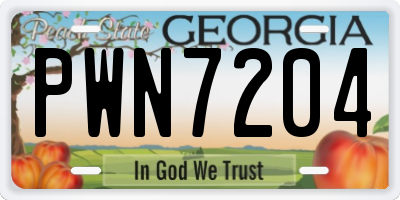 GA license plate PWN7204