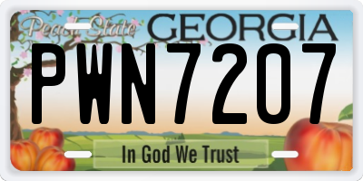 GA license plate PWN7207