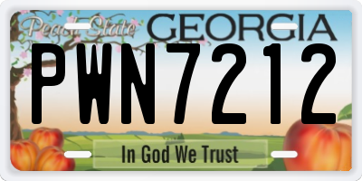 GA license plate PWN7212