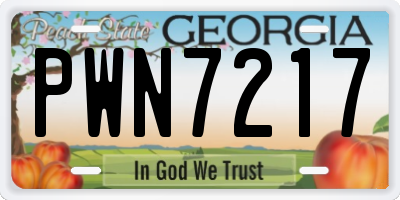 GA license plate PWN7217