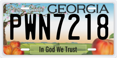 GA license plate PWN7218