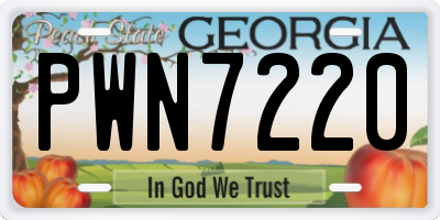 GA license plate PWN7220