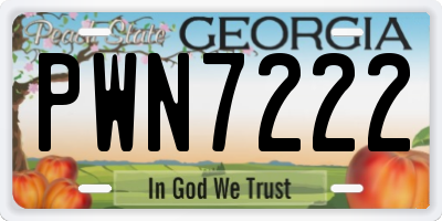 GA license plate PWN7222